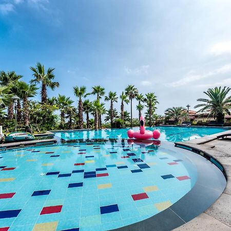 Palm Valley Resort Seogwipo Eksteriør billede